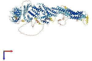 AlphaFold protein structure predicition of Human Recombinant CADPS Protein, UniprotID Q9ULU8