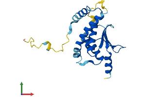 AlphaFold protein structure predicition of Human Recombinant TRAPPC5 Protein, UniprotID Q8IUR0