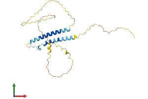 AlphaFold protein structure predicition of Human Recombinant C10orf62 Protein, UniprotID Q5T681