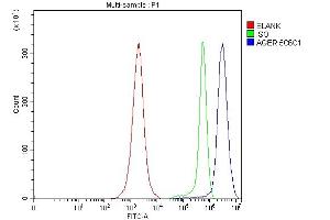Flow Cytometry analysis of Jurkat cells using anti-RAGE/AGER antibody (ABIN7603153).