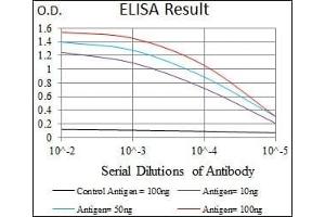 Red: Control Antigen (100 ng), Purple: Antigen (10 ng), Green: Antigen (50 ng), Blue: Antigen (100 ng), (KIF11 anticorps)