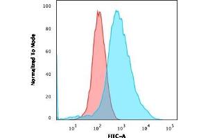 Flow Cytometric Analysis of MCF-7 cells using Estrogen Receptor alpha Mouse Monoclonal Antibody (ESR1/3557) followed by goat anti-Mouse IgG-CF488 (Blue); Isotype Control (Red).