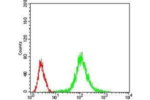 Flow cytometric analysis of Jurkat cells using PPP1CB mouse mAb (green) and negative control (red).
