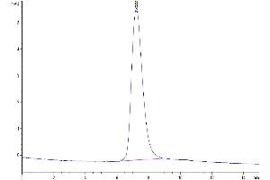 The purity of Biotinylated Human TRAIL R4/TNFRSF10D is greater than 95 % as determined by SEC-HPLC.