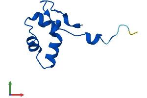 AlphaFold protein structure predicition of Mouse Recombinant Polr2l Protein, UniprotID P62876