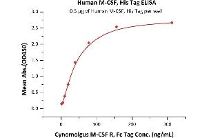 Immobilized Human M-CSF, His Tag (ABIN5674639,ABIN6253718) at 5 μg/mL (100 μL/well) can bind Cynomolgus M-CSF R, Fc Tag (ABIN5526646,ABIN5526647) with a linear range of 1-39 ng/mL (Routinely tested). (M-CSF/CSF1 Protein (AA 33-255) (His tag))