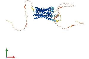 AlphaFold protein structure predicition of Human Recombinant OPN4 Protein, UniprotID Q9UHM6