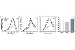 Performance of OsrHSA in promoting cell growth and antibody production: The promotion of cell growth was comparable to that of CHO cells on 10% FBS. (HSA Protéine)