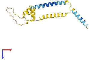 AlphaFold protein structure predicition of Human Recombinant FAM162A Protein, UniprotID Q96A26