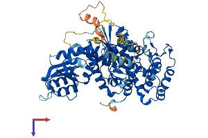 AlphaFold protein structure predicition of Mouse Recombinant Stxbp3 Protein, UniprotID Q60770