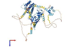 AlphaFold protein structure predicition of Mouse Recombinant Eps8 Protein, UniprotID Q08509