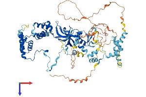 AlphaFold protein structure predicition of Human Recombinant MTA1 Protein, UniprotID Q13330
