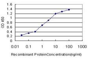 anti-Twisted Gastrulation Homolog 1 (TWSG1) (AA 124-223) antibody