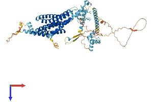 AlphaFold protein structure predicition of Human Recombinant AMFR Protein, UniprotID Q9UKV5