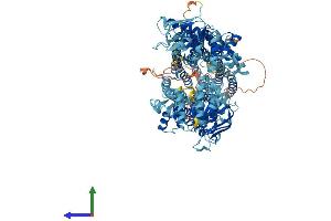 AlphaFold protein structure predicition of Human Recombinant ABCC4 Protein, UniprotID O15439