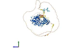 AlphaFold protein structure predicition of Mouse Recombinant Pak4 Protein, UniprotID Q8BTW9