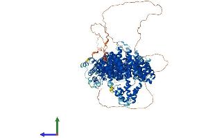 AlphaFold protein structure predicition of Human Recombinant PDS5A Protein, UniprotID Q29RF7