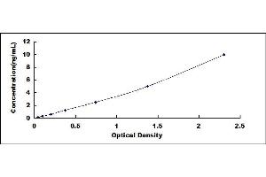 Typical standard curve (CNR2 Kit ELISA)