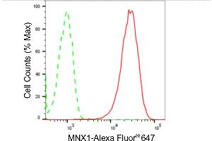 Flow cytometric analysis of MNX1 expression in HepG2 cells using MNX1 antibody (ABIN7799484), 1:2,000). (Recombinant MNX1 anticorps)
