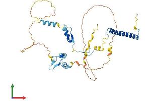 AlphaFold protein structure predicition of Mouse Recombinant Atxn7l3 Protein, UniprotID A2AWT3