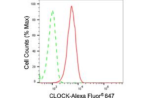 Flow cytometric analysis of CLOCK expression in C2C12 cells using CLOCK antibody (ABIN7798099), 1:2,000). (Recombinant CLOCK anticorps)
