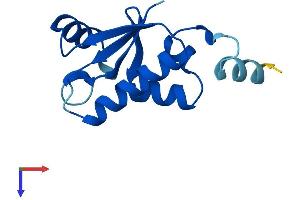 AlphaFold protein structure predicition of Mouse Recombinant Sh3bgrl Protein, UniprotID Q9JJU8