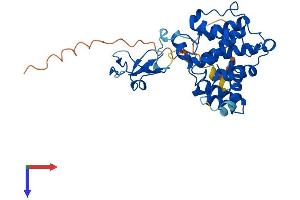 AlphaFold protein structure predicition of Mouse Recombinant Chn2 Protein, UniprotID Q80XD1