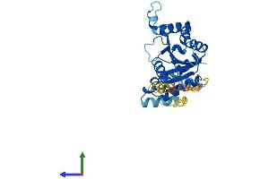 AlphaFold protein structure predicition of Human Recombinant GPN3 Protein, UniprotID Q9UHW5
