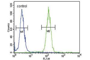 Flow Cytometry (FACS) image for anti-Nuclear Receptor Coactivator 7 (NCOA7) antibody (ABIN3004220) (NCOA7 anticorps)