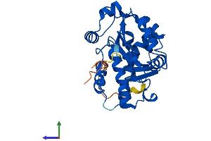 AlphaFold protein structure predicition of Human Recombinant CNOT7 Protein, UniprotID Q9UIV1