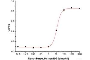 ELISA image for Interleukin 1 Family, Member 6 (IL1F6) (Active) protein (ABIN7319787) (IL36A/IL1F6 Protéine)