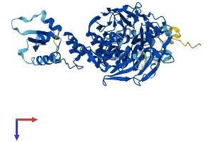 AlphaFold protein structure predicition of Human Recombinant GAN Protein, UniprotID Q9H2C0