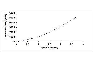 Typical standard curve (FOXJ1 Kit ELISA)