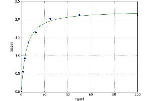 Angiopoietin-Like 6 (ANGPTL6) ELISA Kit