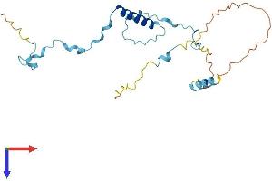 AlphaFold protein structure predicition of Human Recombinant POLR3G Protein, UniprotID O15318