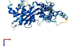 AlphaFold protein structure predicition of Human Recombinant ACTL8 Protein, UniprotID Q9H568
