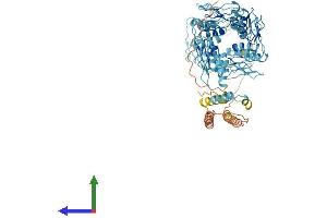 AlphaFold protein structure predicition of Human Recombinant ZNF234 Protein, UniprotID Q14588