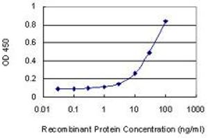 Detection limit for recombinant GST tagged PRKX is 1 ng/ml as a capture antibody. (PRKX anticorps  (AA 269-358))