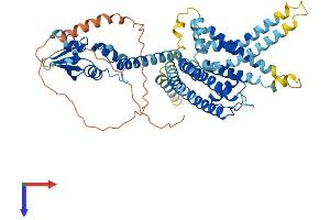 AlphaFold protein structure predicition of Mouse Recombinant Kcnv2 Protein, UniprotID Q8CFS6