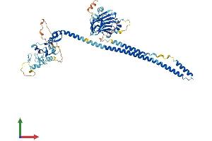 AlphaFold protein structure predicition of Mouse Recombinant Trim47 Protein, UniprotID Q8C0E3