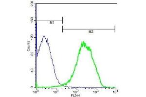 Mouse splenocytes probed with Rabbit Anti-IL-22 Polyclonal Antibody, PE-Cy5 Conjugated . (IL-22 anticorps  (AA 35-179))