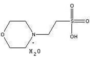 Image no. 1 for MES Monohydrate Ultra (ABIN1536244) (MES Monohydrate Ultra)
