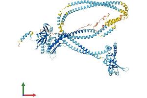 AlphaFold protein structure predicition of Human Recombinant SMC5 Protein, UniprotID Q8IY18