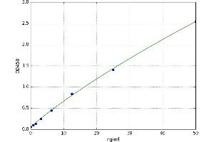 Aldehyde Dehydrogenase 16 Family, Member A1 (ALDH16A1) ELISA Kit