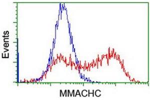Flow Cytometry (FACS) image for anti-Methylmalonic Aciduria (Cobalamin Deficiency) CblC Type, with Homocystinuria (MMACHC) antibody (ABIN1499513) (MMACHC anticorps)