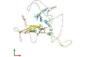 AlphaFold protein structure predicition of Human Recombinant ZNF276 Protein, UniprotID Q8N554