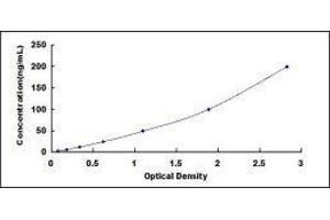 Cholesteryl Ester Transfer Protein (CETP) ELISA Kit