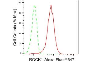 Flow cytometric analysis of ROCK1 expression in HeLa cells using ROCK1 antibody (ABIN7800203), 1:2,000). (Recombinant ROCK1 anticorps)