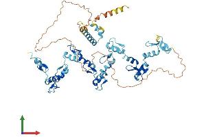 AlphaFold protein structure predicition of Human Recombinant ZNF480 Protein, UniprotID Q8WV37