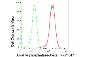Flow cytometric analysis of Alkaline phosphatase expression in HeLa cells using Alkaline phosphatase antibody (ABIN7797575), 1:2,000). (Recombinant Alkaline Phosphatase anticorps)